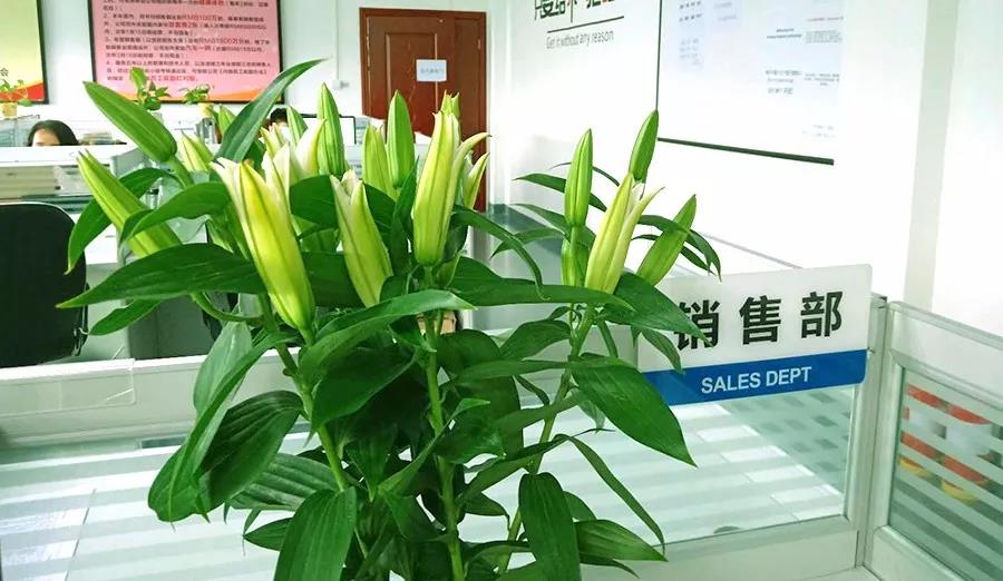 濃情七夕，最美祝福！